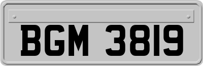 BGM3819
