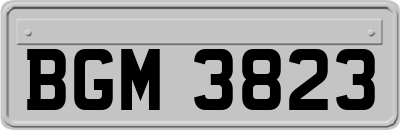 BGM3823