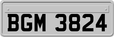 BGM3824