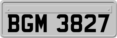 BGM3827