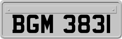 BGM3831