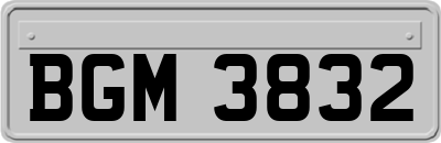 BGM3832