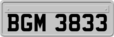 BGM3833