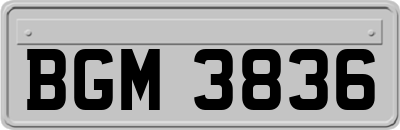 BGM3836