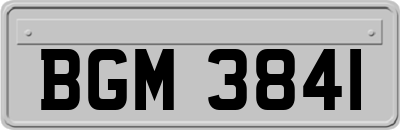 BGM3841