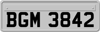 BGM3842