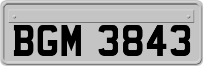 BGM3843