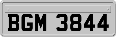 BGM3844