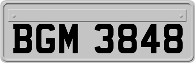 BGM3848