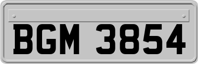 BGM3854