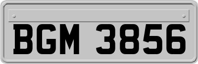 BGM3856