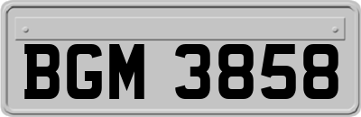 BGM3858