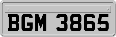 BGM3865