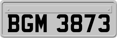 BGM3873