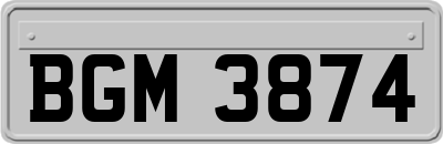 BGM3874