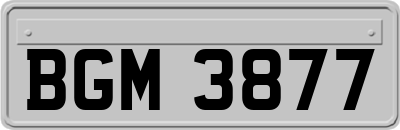 BGM3877