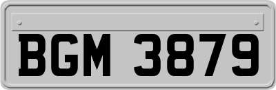 BGM3879