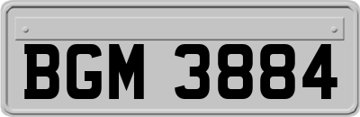 BGM3884