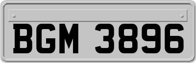 BGM3896
