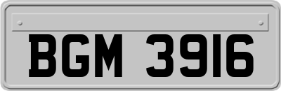 BGM3916