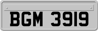 BGM3919