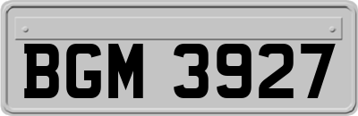 BGM3927