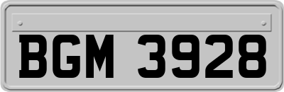 BGM3928