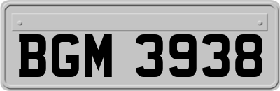 BGM3938