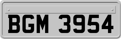 BGM3954