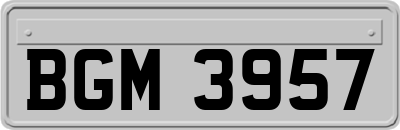 BGM3957