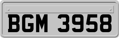 BGM3958