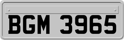 BGM3965