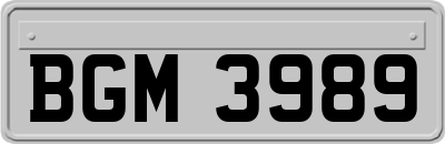 BGM3989