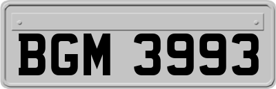 BGM3993