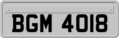 BGM4018