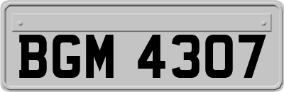 BGM4307