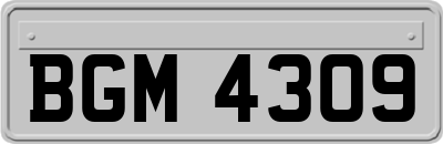 BGM4309