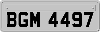 BGM4497