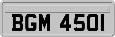 BGM4501
