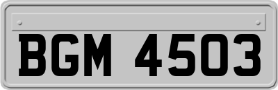BGM4503