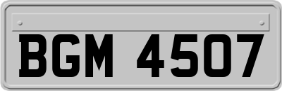 BGM4507