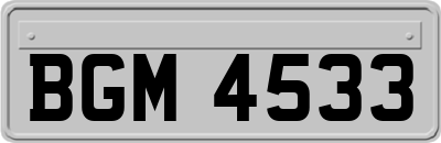 BGM4533