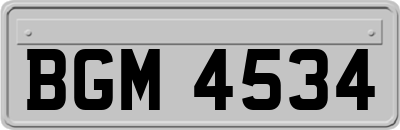 BGM4534