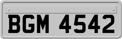 BGM4542
