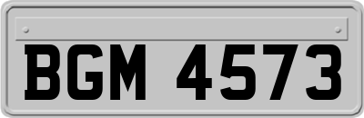 BGM4573