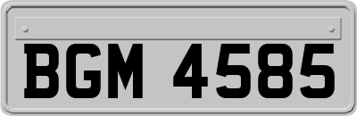 BGM4585