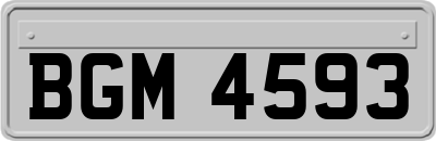 BGM4593