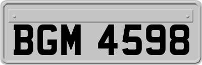 BGM4598