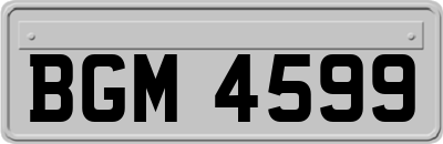 BGM4599