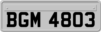 BGM4803